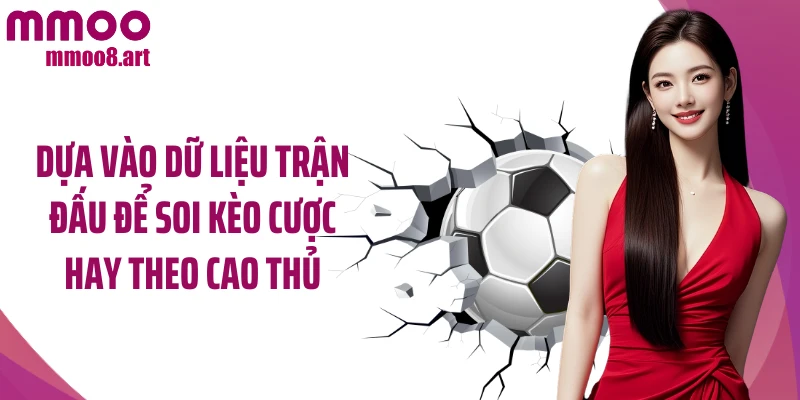 Dựa vào dữ liệu trận đấu để soi kèo cược hay theo cao thủ
